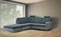 fagus_sedacka_01_d