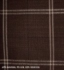 ormer_vv_hneda_skupina 4