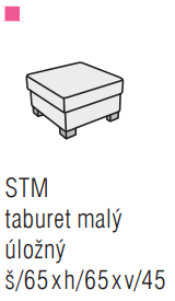 STM